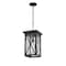 Z-Lite Brookside 1 Light Outdoor Chain Mount Ceiling Fixture, Black And Clear Seedy 583CHB-BK - alternate 7